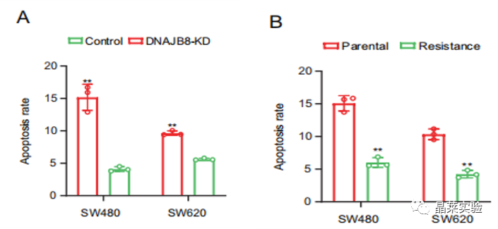 技术资料图片19