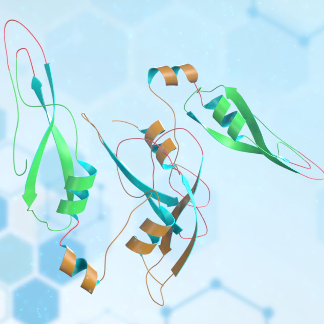 A05111-10 猴痘病毒蛋白 MPXV A35R Protein
