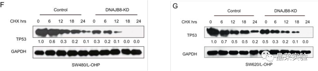 技术资料图片11