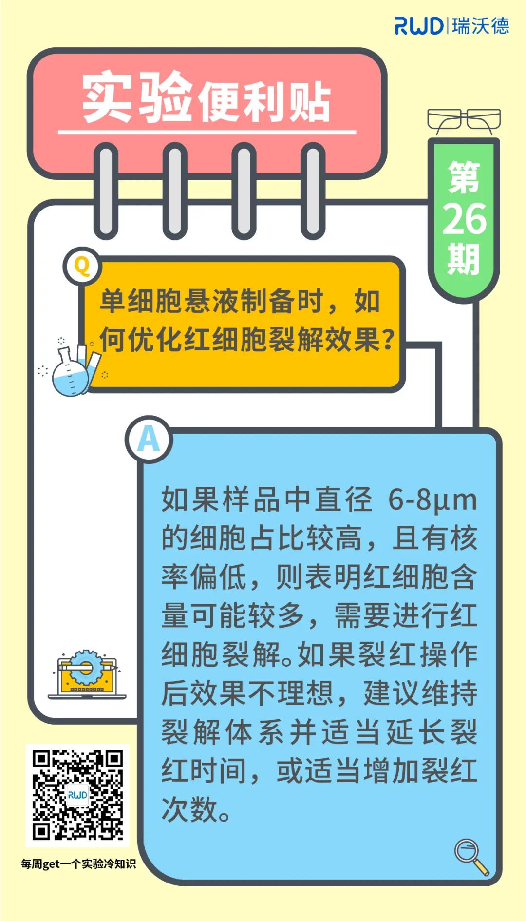 单细胞悬液制备时，如何优化红细胞裂解效果？