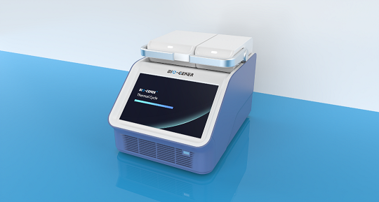 一年仅一次 柏恒科技双十一买一送一来啦