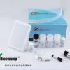 RA20607 Rat interleukin6 (IL-6) ELISA Kit