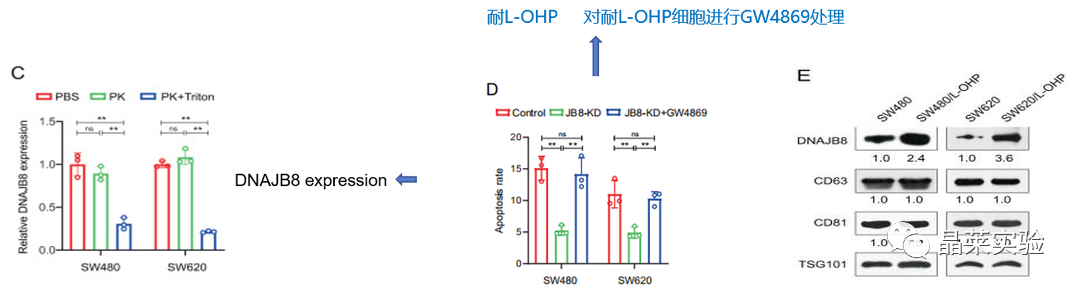 技术资料图片20