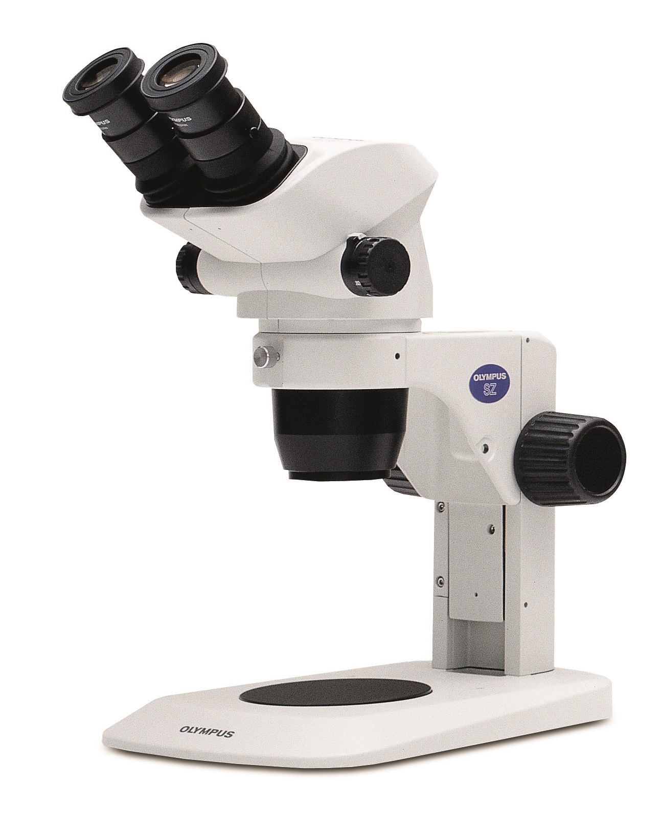 走进微观∣EVIDENT第四届“全球”显微图像大赛正式开赛 大奖等您来拿