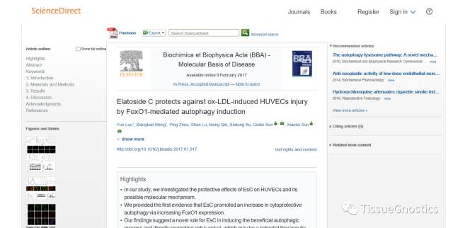 中国医学科学院药植所：天然皂素EsC（Elatoside C）保护血管内皮细胞受损减轻动脉粥样硬化患病几率