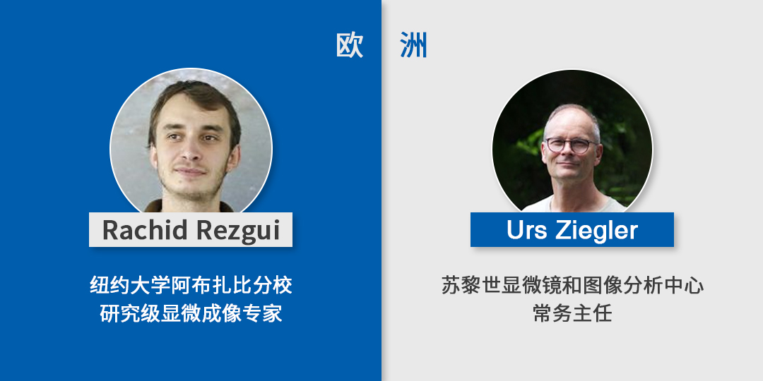 走进微观∣EVIDENT第四届“全球”显微图像大赛正式开赛 大奖等您来拿