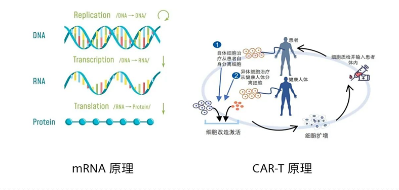 QuantaSep 3000SU助力mRNA疫苗工艺生产