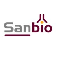 MONOSAN  单克隆和多克隆抗体和试剂，ELISA，Western blot和流式