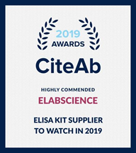 深耕易耨,厚积薄发 | 伊莱瑞特荣膺国|家级专精特新“小巨人”