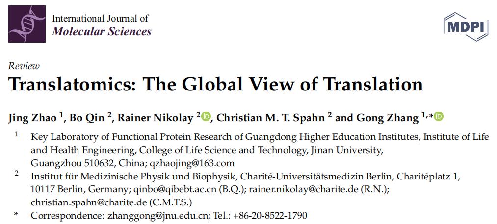 翻译组学:翻译的全局视角