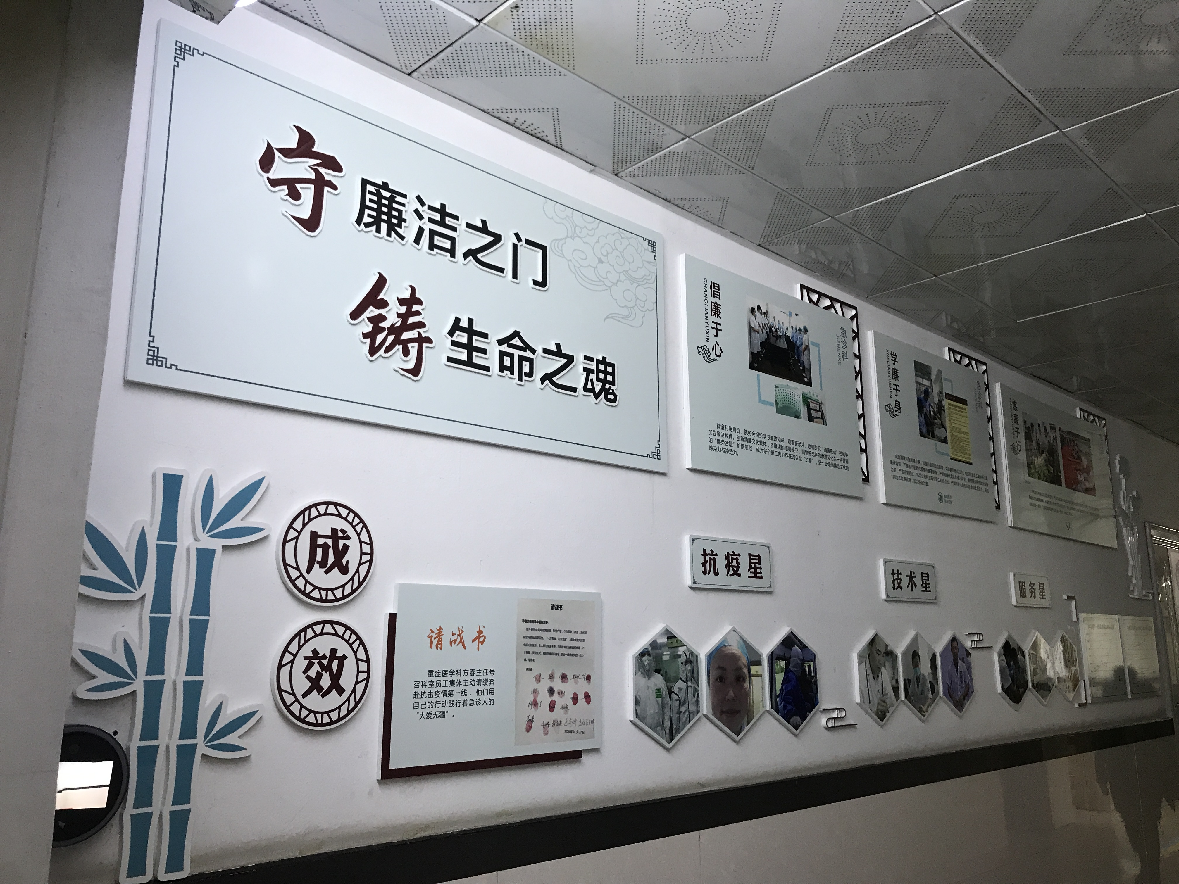 苍南县中医院打造「先锋远志大医当归」清廉品牌