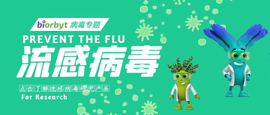 【Biorbyt产品】关于流感病毒