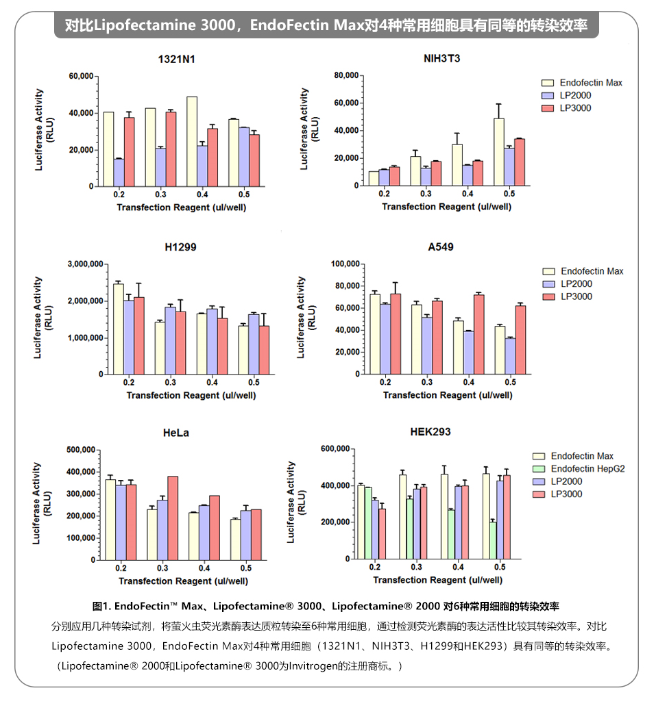 EndoFectin™ Max转染试剂