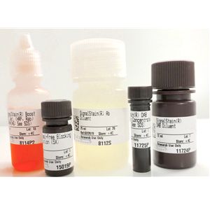 Immunohistochemistry Application Solutions Kit (Rabbit)