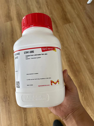 明胶Gelatin from cold water fish