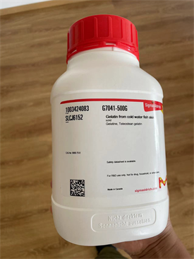 明胶Gelatin from cold water fish