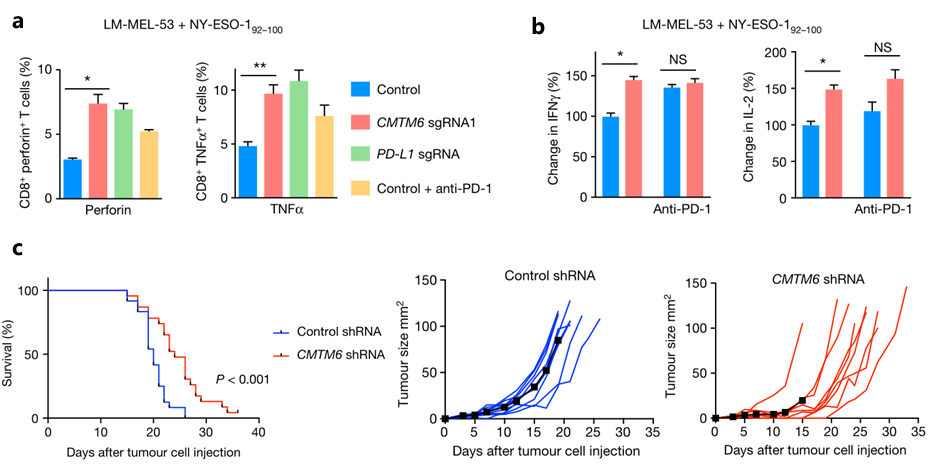 肿瘤免疫研究整体服务