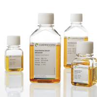 细胞培养试剂—FBS