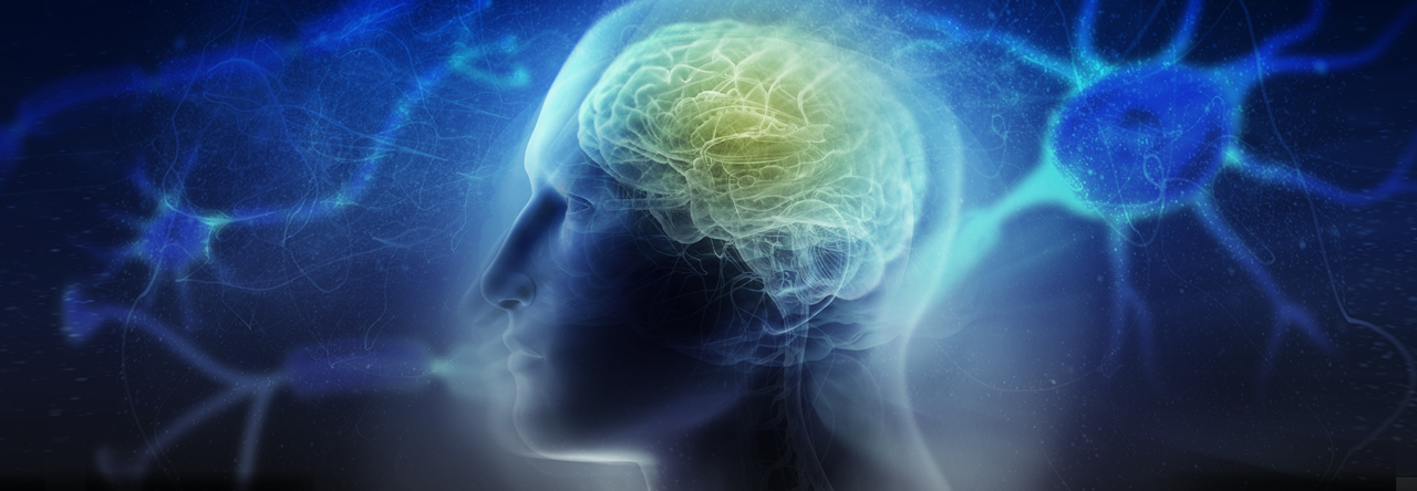 抑制SARM1: 对抗神经退行性疾病的神来之笔？<双11活动 热烈开跑!>