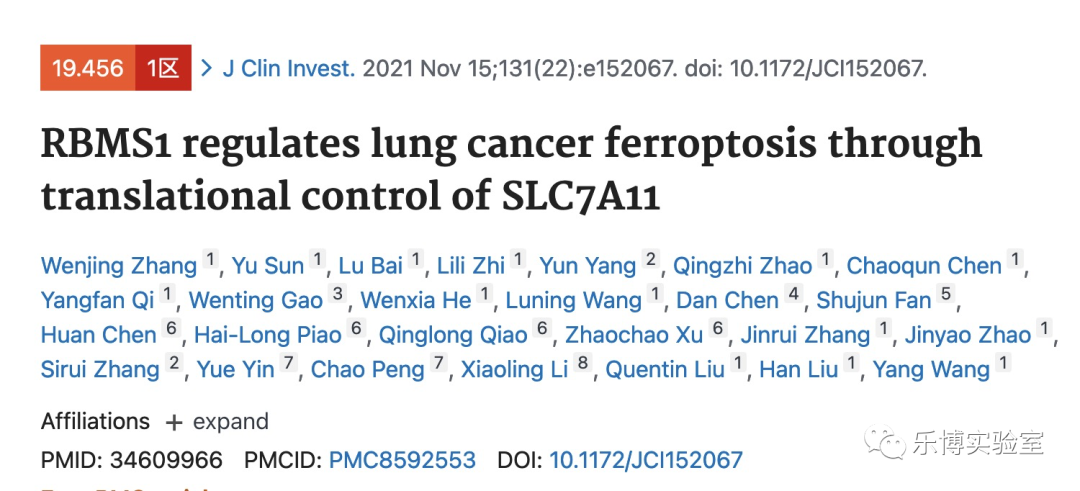 T Clin Invest. (Q1，19.546) | RBMS1通过调控SLC7A11翻译从而调节肺癌铁死亡