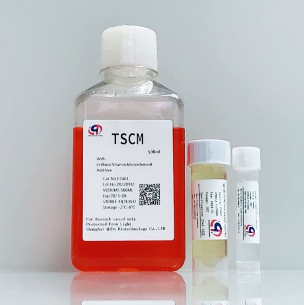 TSCM肿瘤干细胞成球培养基-无血清 (TSCM - Serum Free)