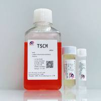 TSCM肿瘤干细胞成球培养基-无血清 (TSCM - Serum Free)