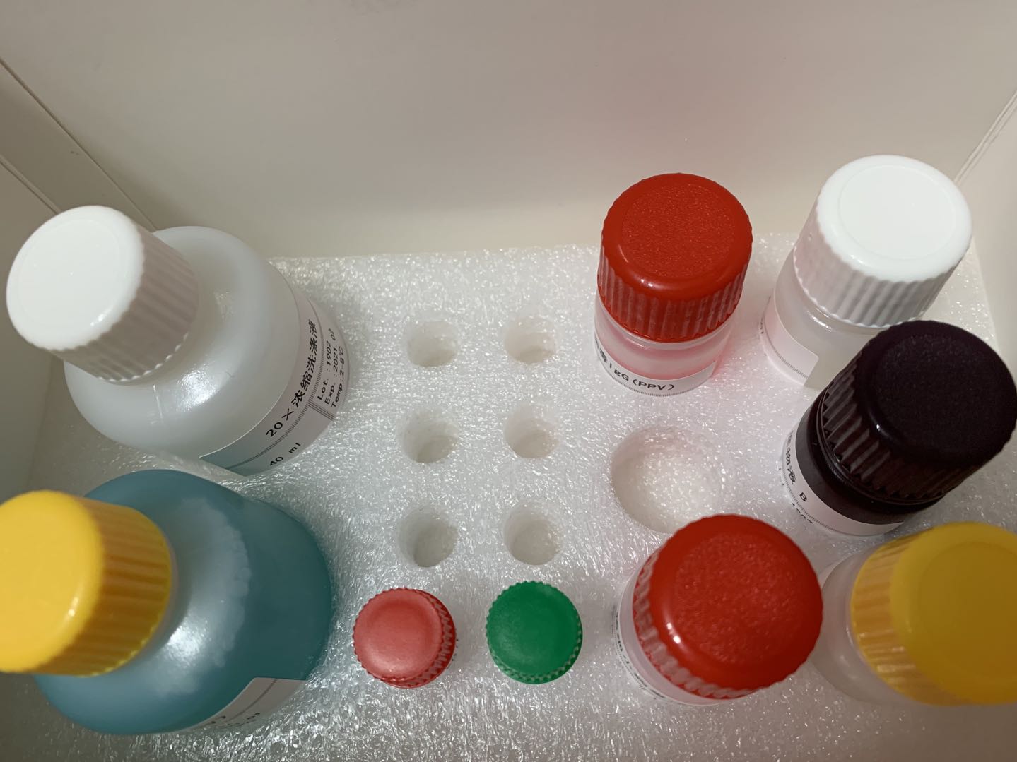 斑马鱼免疫球蛋白M(IgM)酶联免疫(Elisa)试剂盒