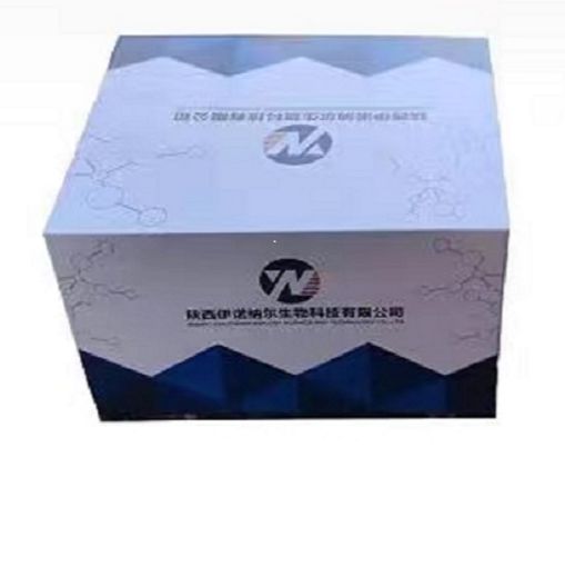 人立克次體抗體IgM(COX)elisa試劑盒