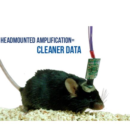 大小鼠脑电记录仪 动物EEG&EMG记录系统
