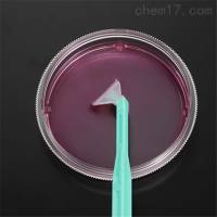 可旋式细胞刮刀