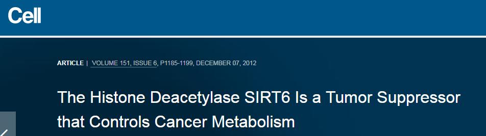 肿瘤代谢研究整体服务
