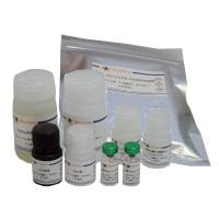 Mouse Serpin E1/PAI-1 ELISA Kit