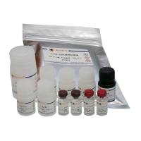 Human TGF-β3 ELISA Kit