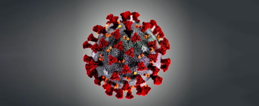 新冠肺炎相关的Z新研究进展