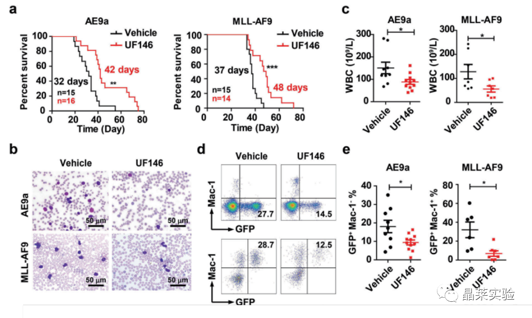国自然热点转录调控研究之 “靶向UHRF1-SAP30-MXD4可消除髓性白血病中的白血病起始细胞”