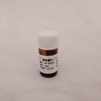 转铁蛋白(TF)质控品