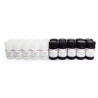 CellTiter-Lumi™ Steady II发光法细胞活力检测试剂盒