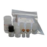 Human IL-36γ ELISA Kit