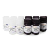 CellTiter-Lumi™ Steady II发光法细胞活力检测试剂盒