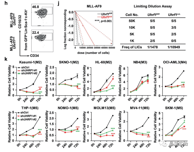 国自然热点转录调控研究之 “靶向UHRF1-SAP30-MXD4可消除髓性白血病中的白血病起始细胞”