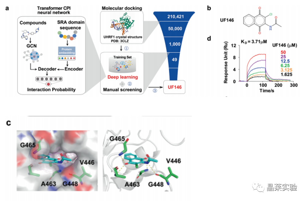 国自然热点转录调控研究之 “靶向UHRF1-SAP30-MXD4可消除髓性白血病中的白血病起始细胞”