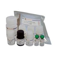 Human IL-37 ELISA Kit