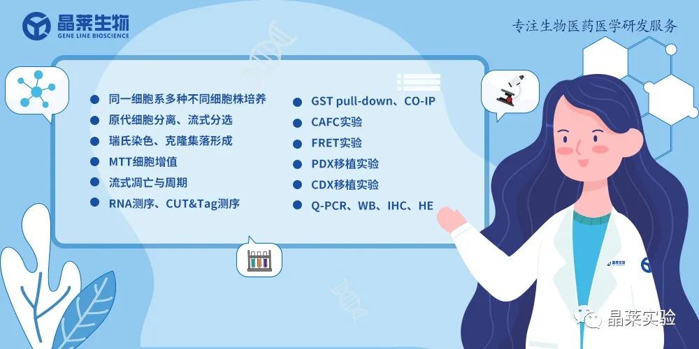 国自然热点转录调控研究之 “靶向UHRF1-SAP30-MXD4可消除髓性白血病中的白血病起始细胞”