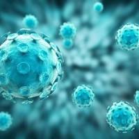 AAV腺相关病毒RNA干扰