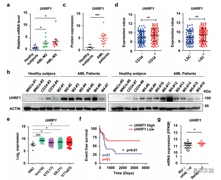 国自然热点转录调控研究之 “靶向UHRF1-SAP30-MXD4可消除髓性白血病中的白血病起始细胞”