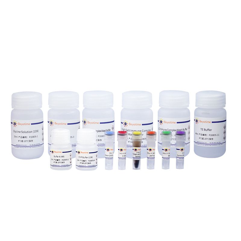 BeyoChIP™ Enzymatic ChIP Assay Kit (Protein A/G磁珠)