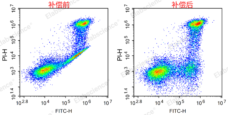 从入门到精通：Annexin V凋亡实验超详细攻略