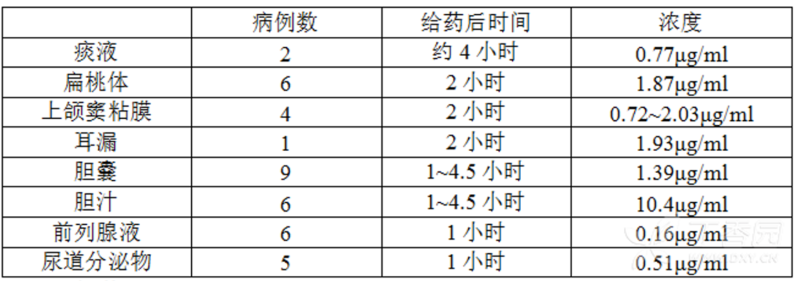 图片预览