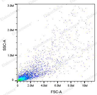 从入门到精通：Annexin V凋亡实验超详细攻略