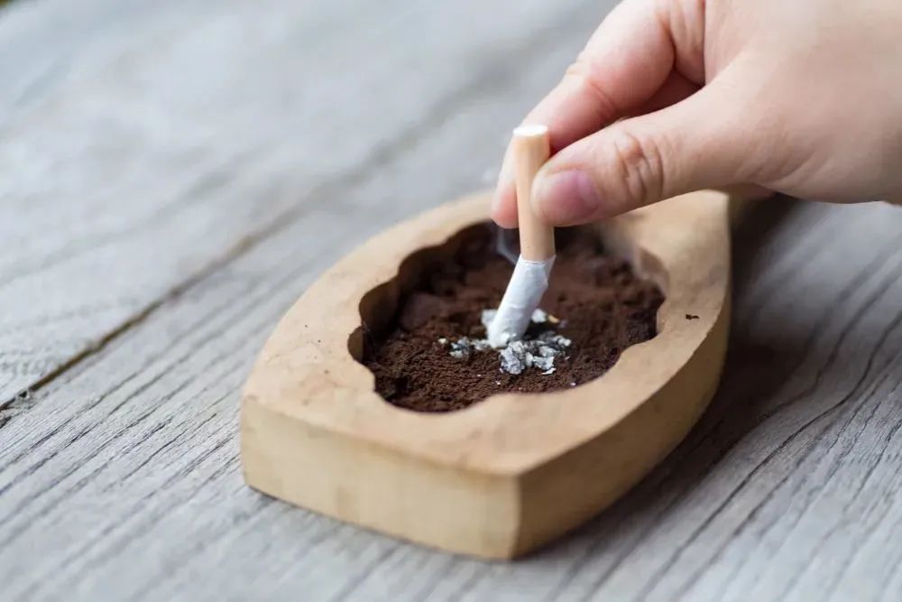 世界慢阻肺日：预防慢阻肺，这些高危因素需要远离